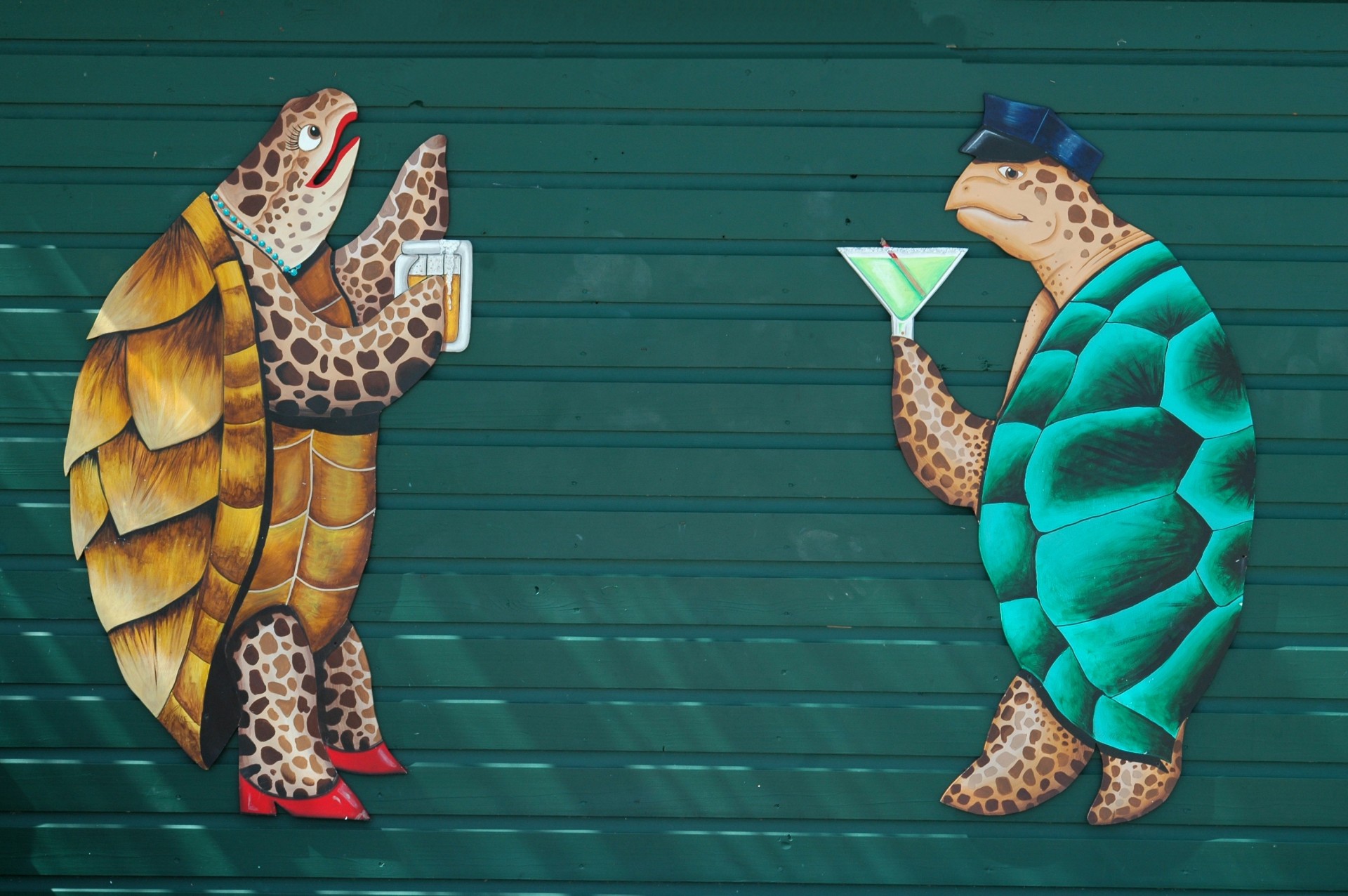 Turtles On Wall