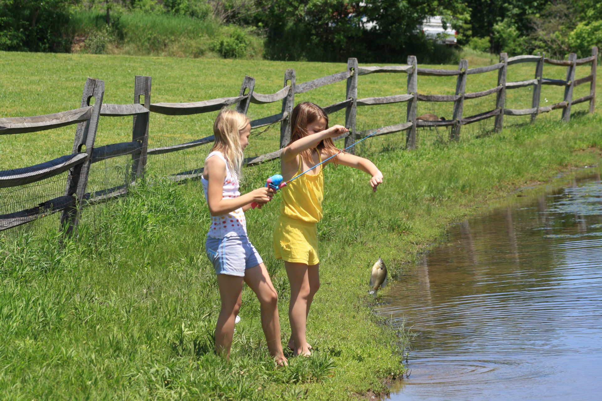 Dvě dívky Fishing