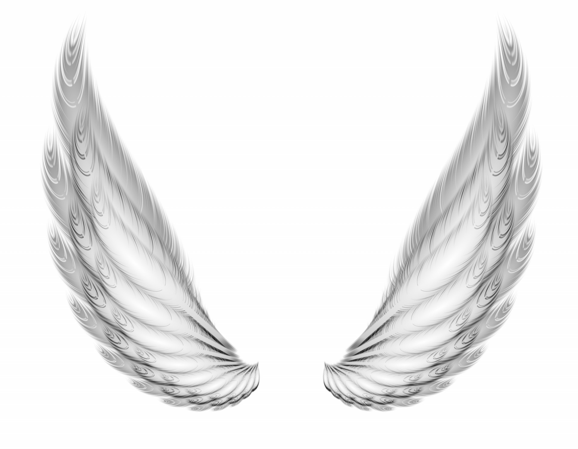 Dwa skrzydła