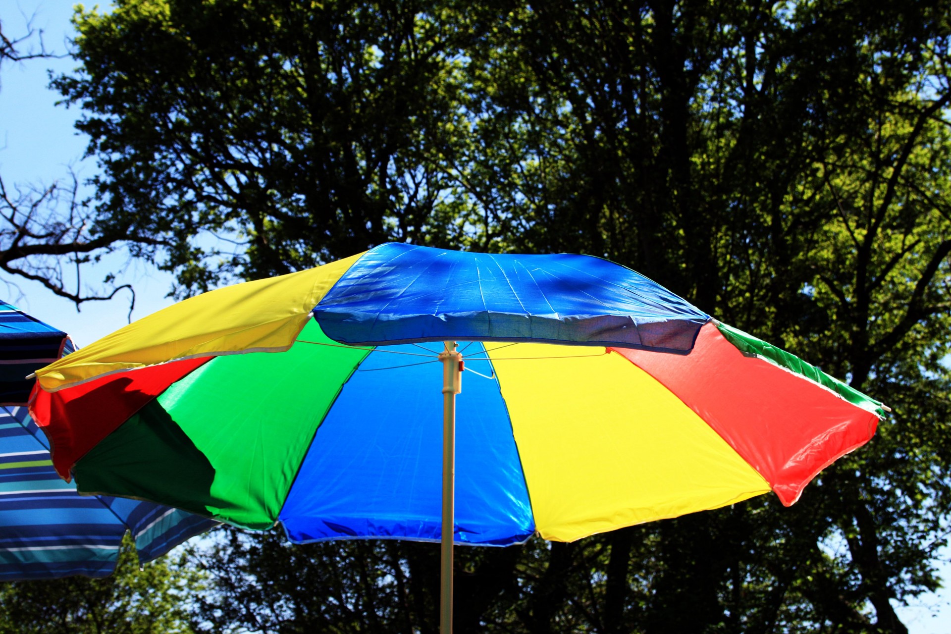 Umbrelă în soare