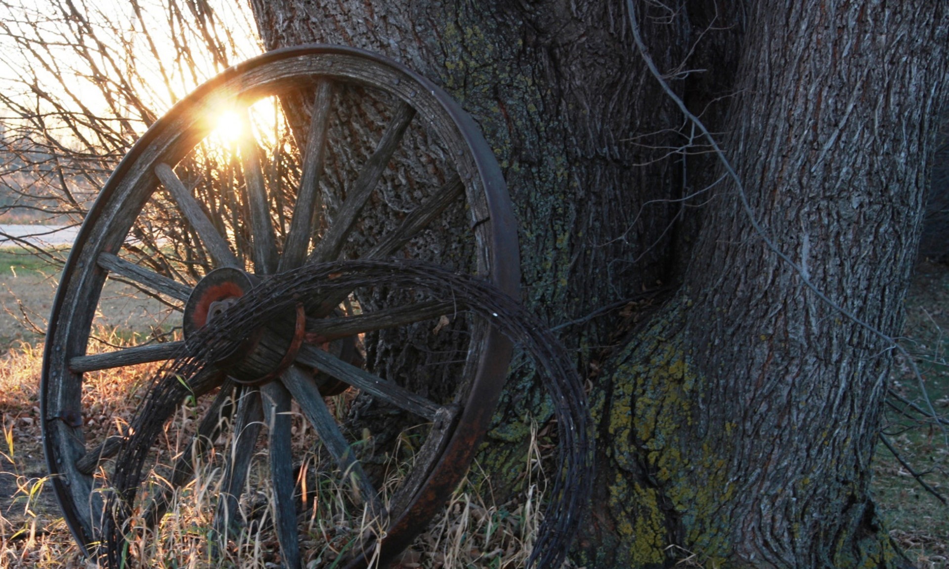 Sârmă ghimpată Wagon Wheel Apus de soare