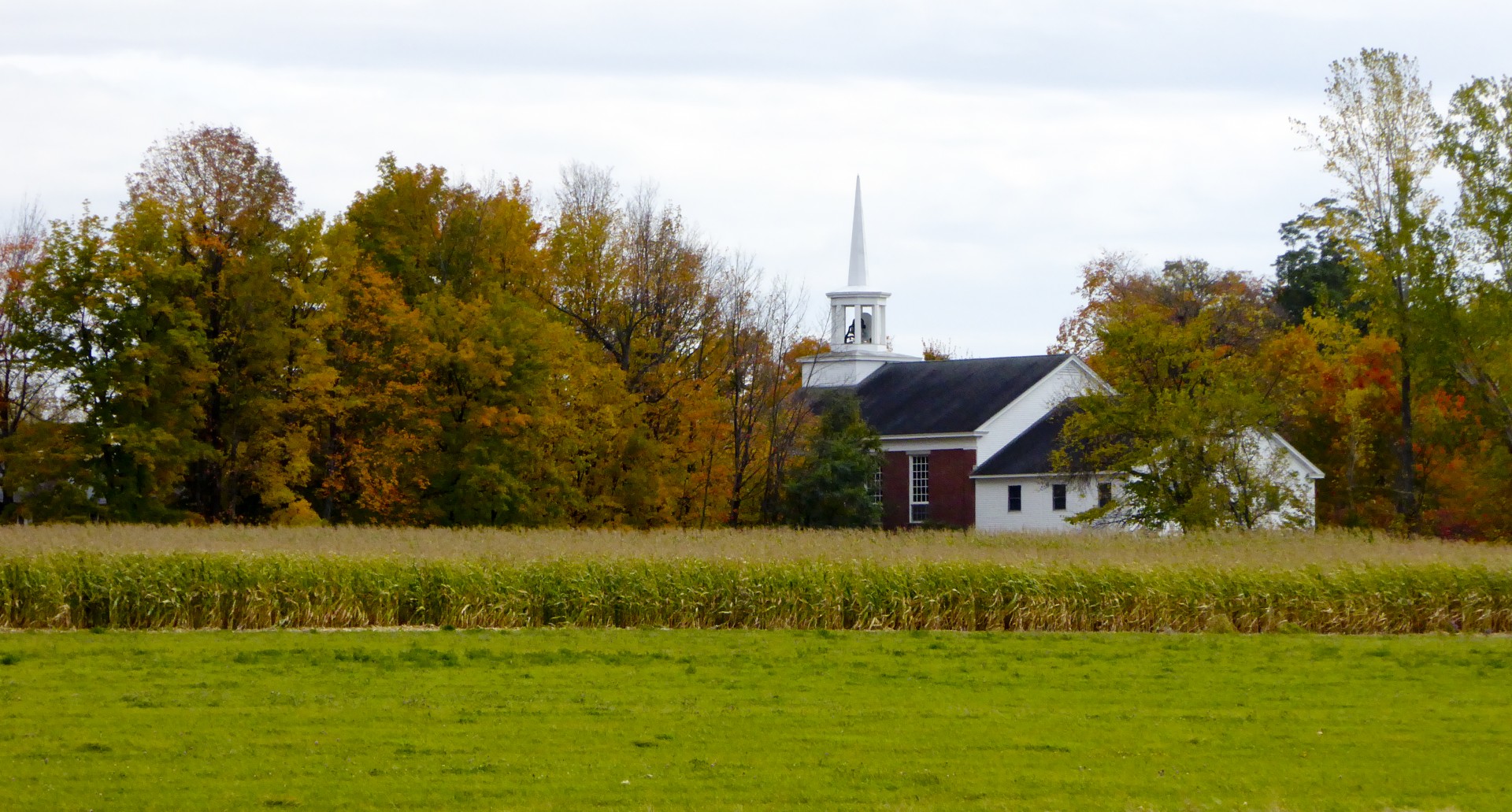 Белый шпиль церкви и кукурузы