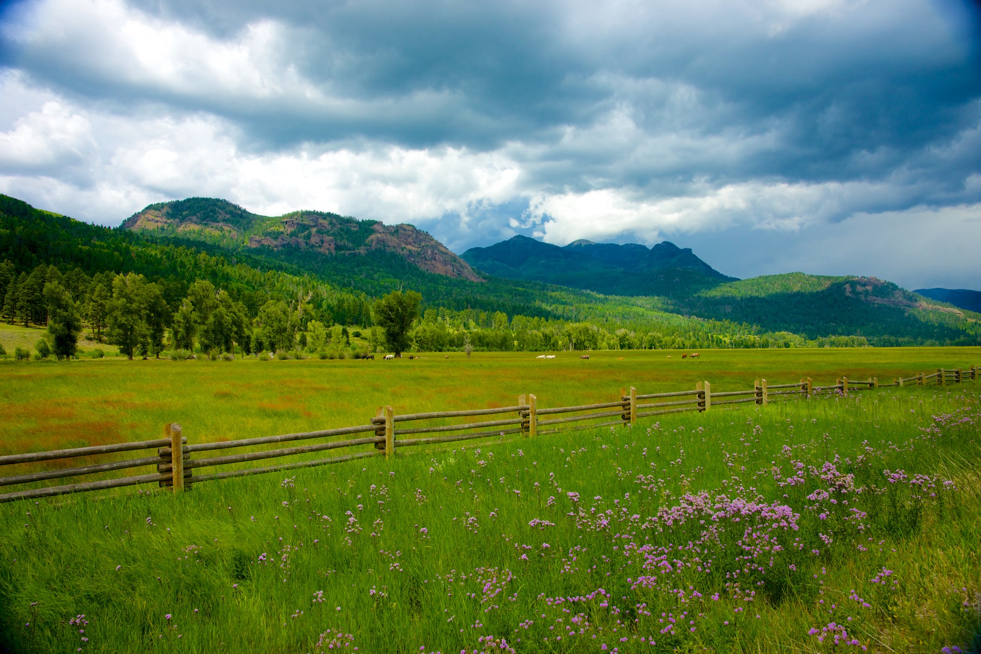 Wooden Fence Ranchland