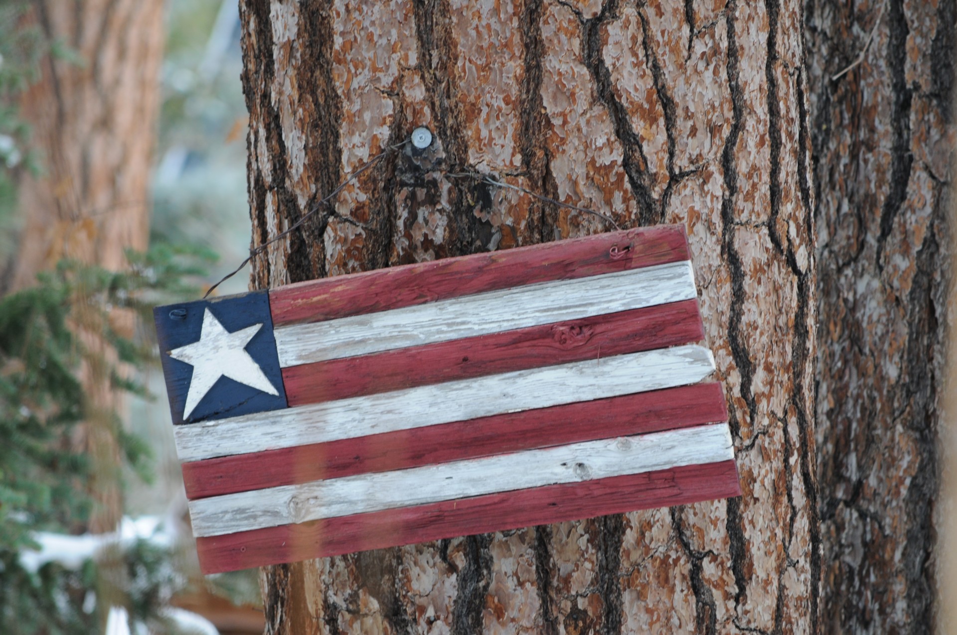 Wooden Flag On A Tree Trunk