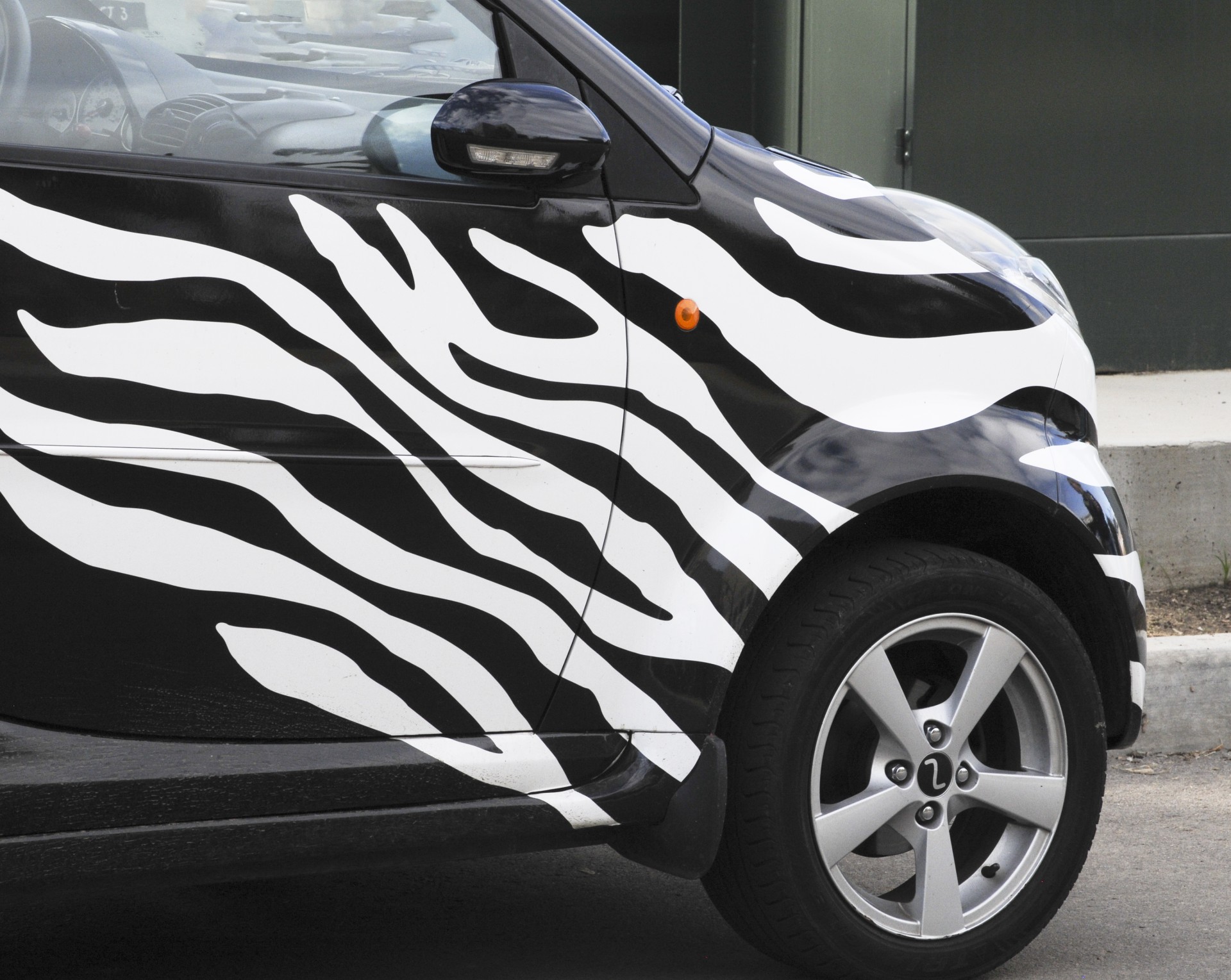 Zebra auto