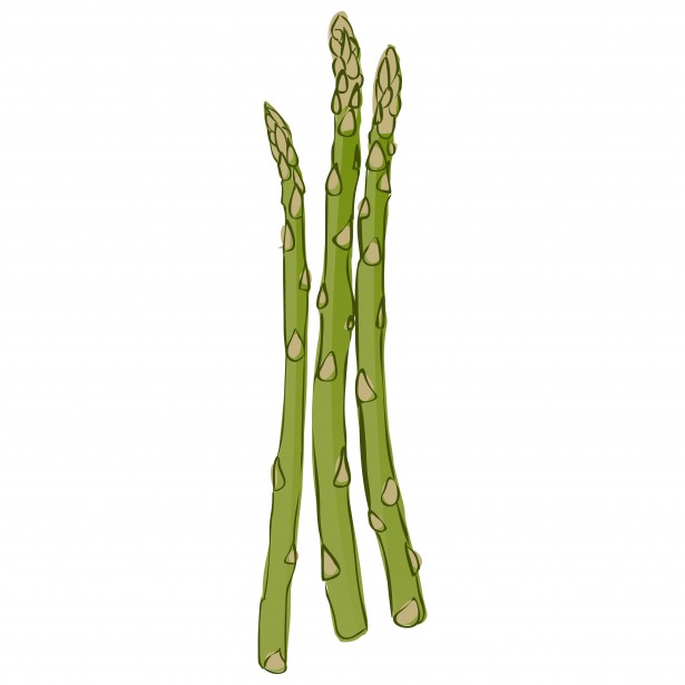 Asparagus Free Stock Photo - Public Domain Pictures