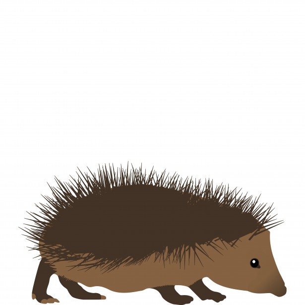 Cartoon Hedgehog Free Stock Photo Public Domain Pictures
