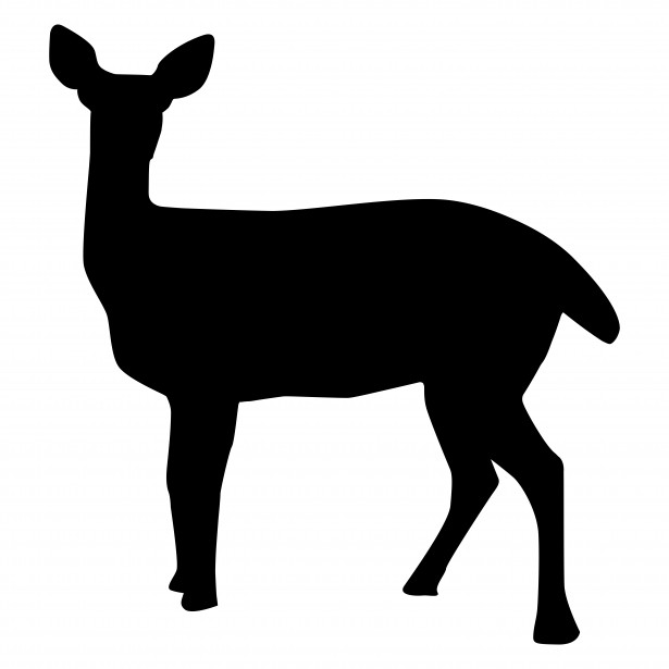 Female Deer Silhouette