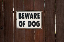 Akta dig för hunden skylt på Brown Fence