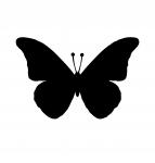 Mariposa Negro