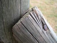 Bolted Wooden Post
