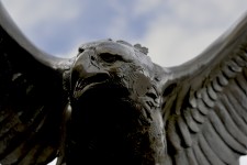 Bronze Eagle Closeup