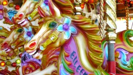 Paard van de carrousel