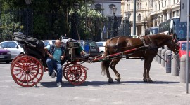 Carruagem com cavalo em Nápoles