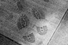 Construction Footprints In Cement