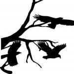 Crow Trio Silhouette