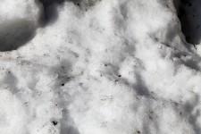 Brudny śnieg tła - 03