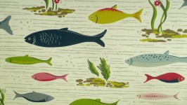 Fish Background Pattern