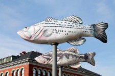 Peixe Escultura - Fechar