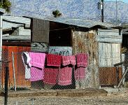 Čtyři růžové ručníky v chudobě