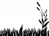 Silueta de la hierba Clipart