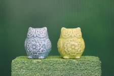 Greenscreen: Owls S & P Schüttler