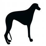 Greyhound silueta