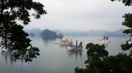 Baie d'Halong Jonque Voile