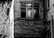 Antiguo Scary Creepy Casa