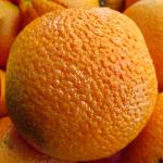 Closeup portocaliu