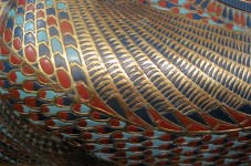 Pattern On Tutankhamun's Coffinette