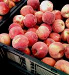 Peaches Fresh at Market