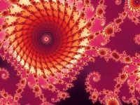 Fundal fractal roz