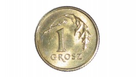 Polština jeden Grosz mince hlava