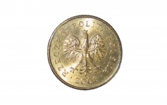 Polskie monety jeden groszy ogon