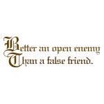 Proverbio su falso amico