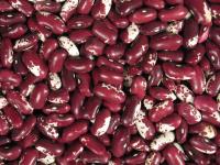 赤インゲン豆