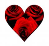 Red Roses Heart