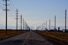 Road Surrounded by Telephone Poles