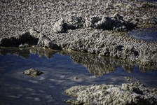 Salton Sea Shore Reflection