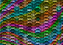 Scales Background Rainbow Colors