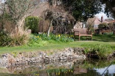 Spring Garden med Pond