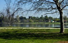Spring Lake View