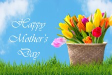 Tulipany w koszu kartą Dzień Matki