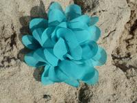 Fibra flor turquesa na areia