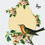 Oiseau vintage avec Apple Blossom