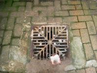 Water Drainage Grid