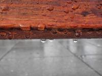 Holz und Regentropfen 5