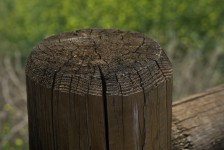 Wooden Fence Post