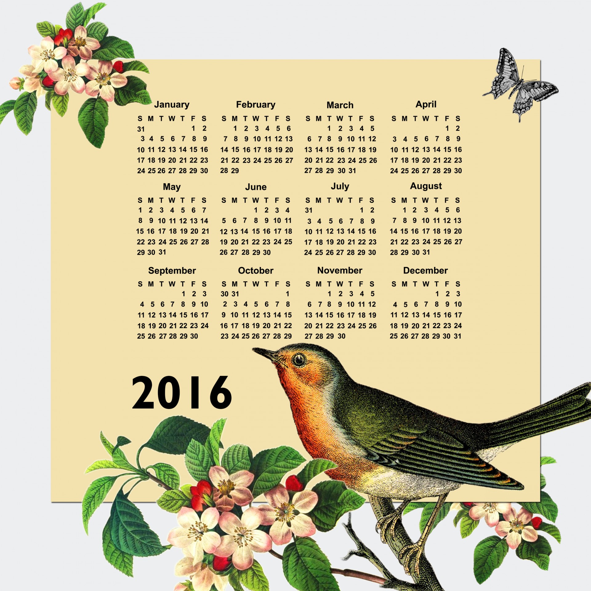 2016 Calendar Vintage Bird Free Stock Photo Public Domain Pictures